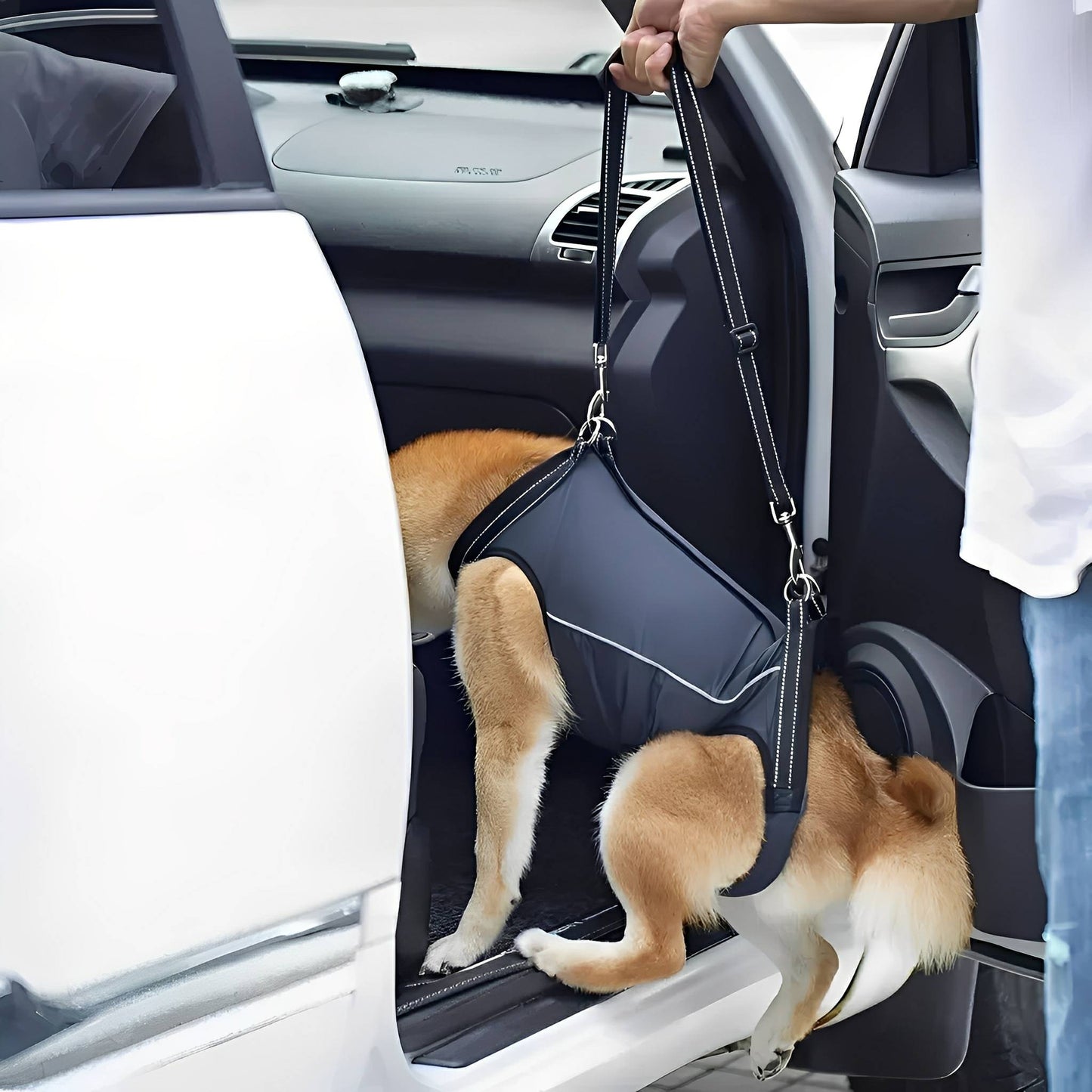 pawlift - ondersteunend tilharnas hond - mivero