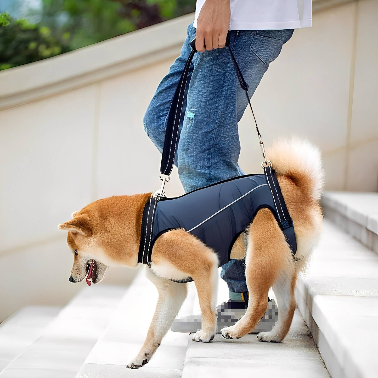 pawlift - ondersteunend tilharnas hond - mivero