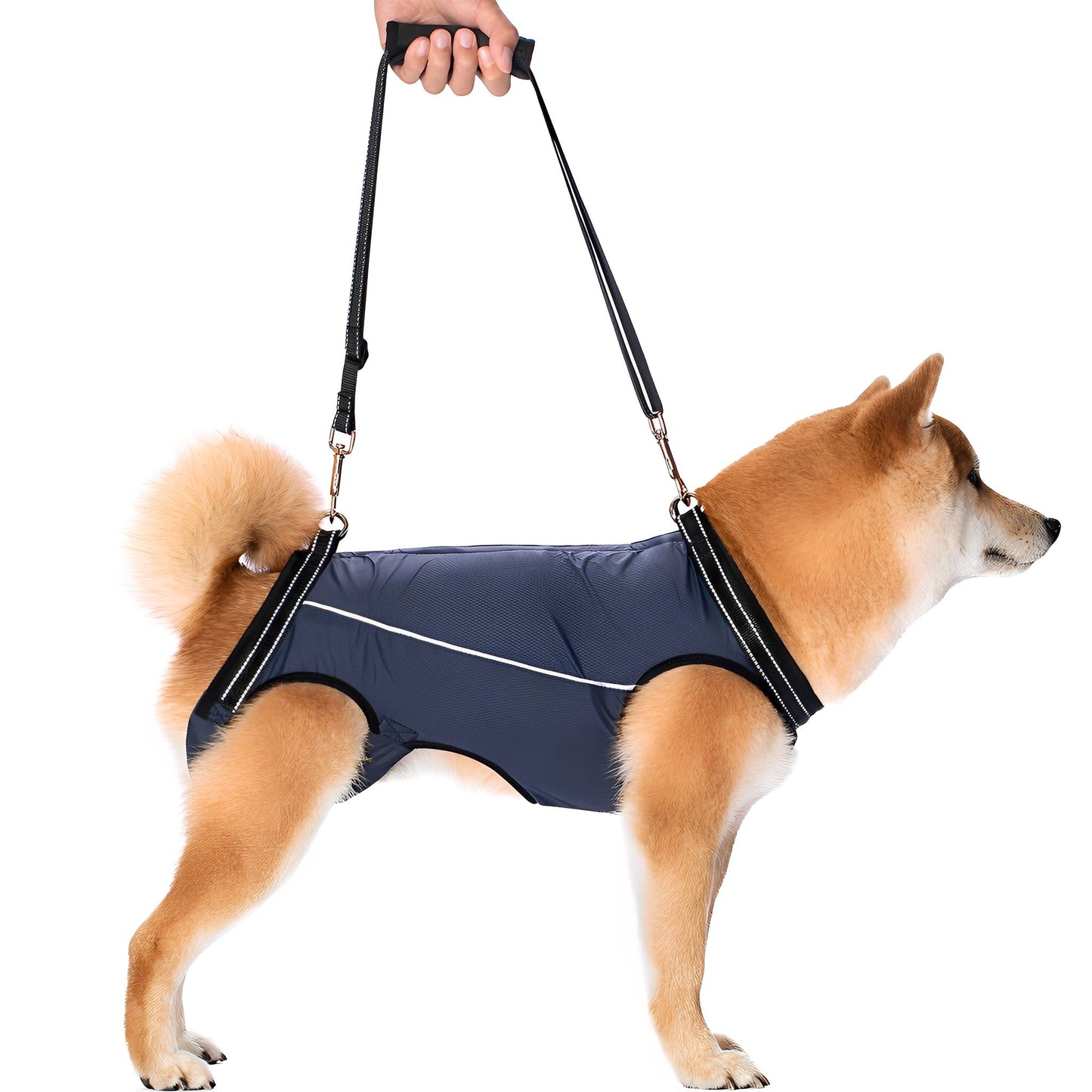 pawlift - ondersteunend tilharnas hond - mivero