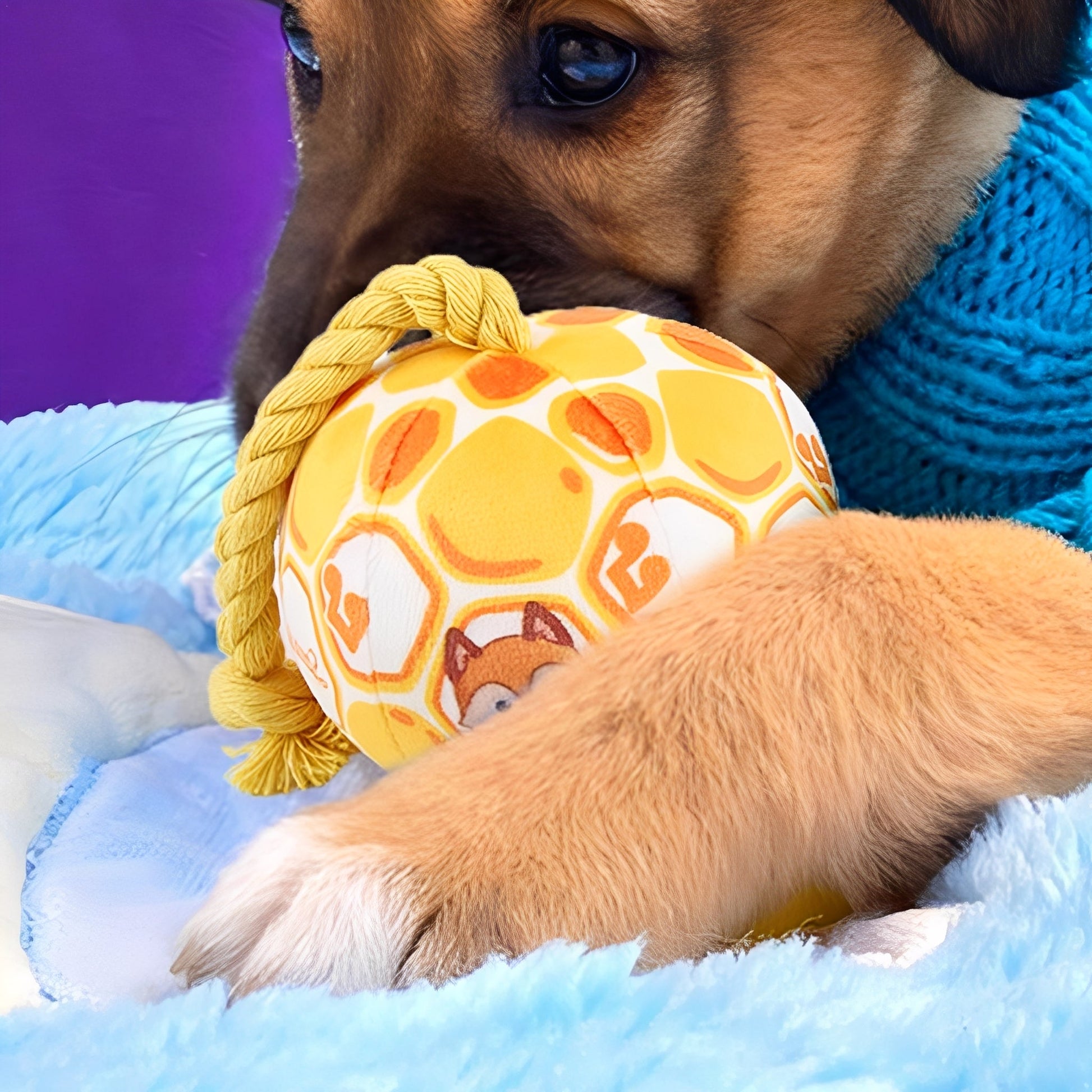 Pawmigo - Interactief Touwspeelgoed Kattenhond - Mivero