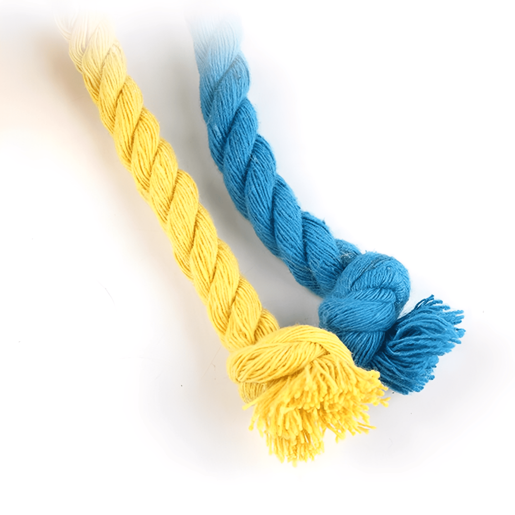 Pawmigo - Interactief Touwspeelgoed Kattenhond - Mivero