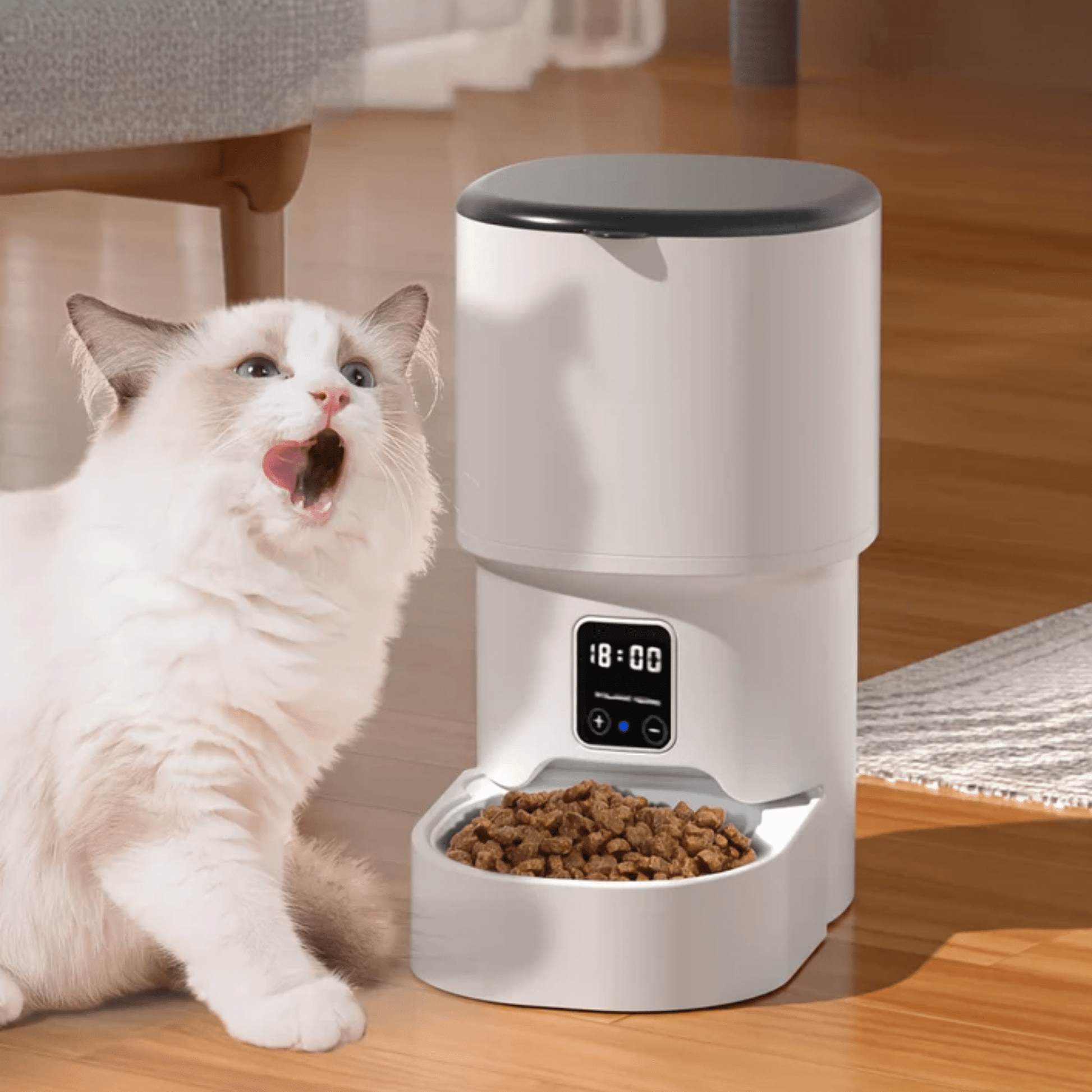 PawNect - Knopgestuurde Voerautomaat Huisdieren - Mivero