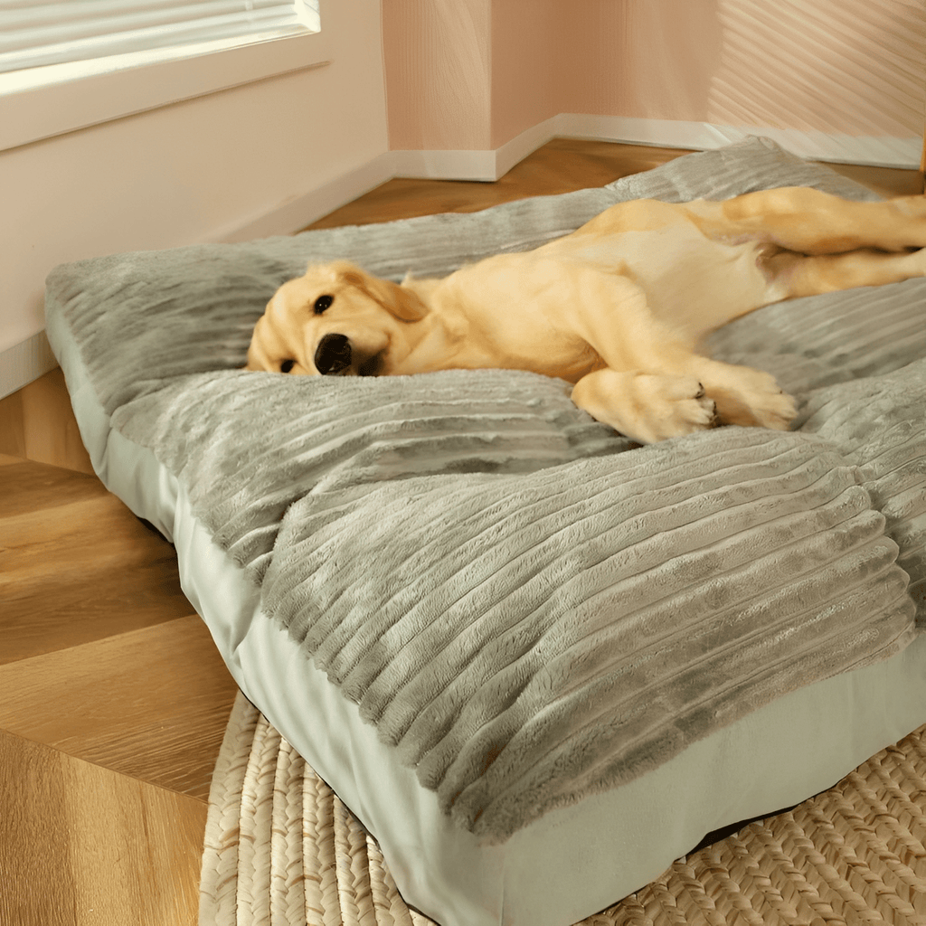 PawNest - Anti - Slip Pluche Hondenbed - Mivero