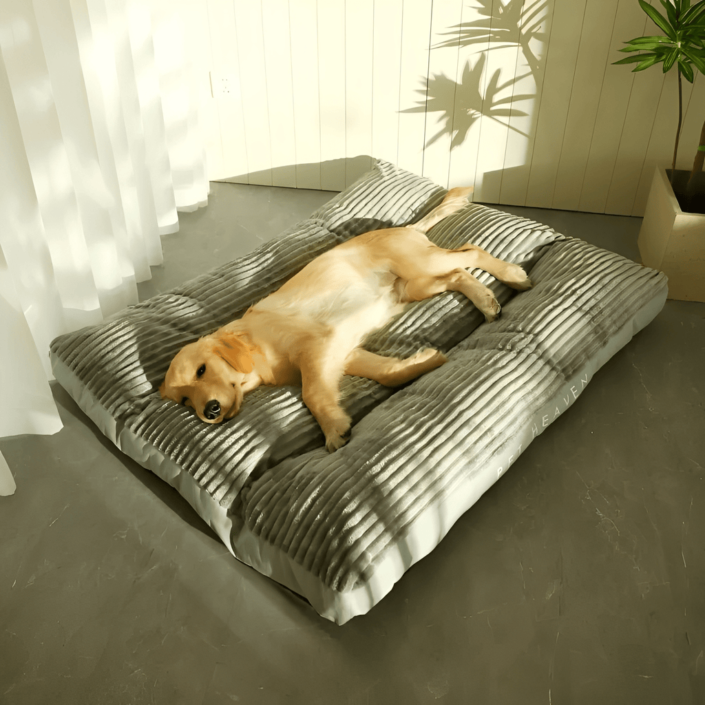 PawNest - Anti - Slip Pluche Hondenbed - Mivero
