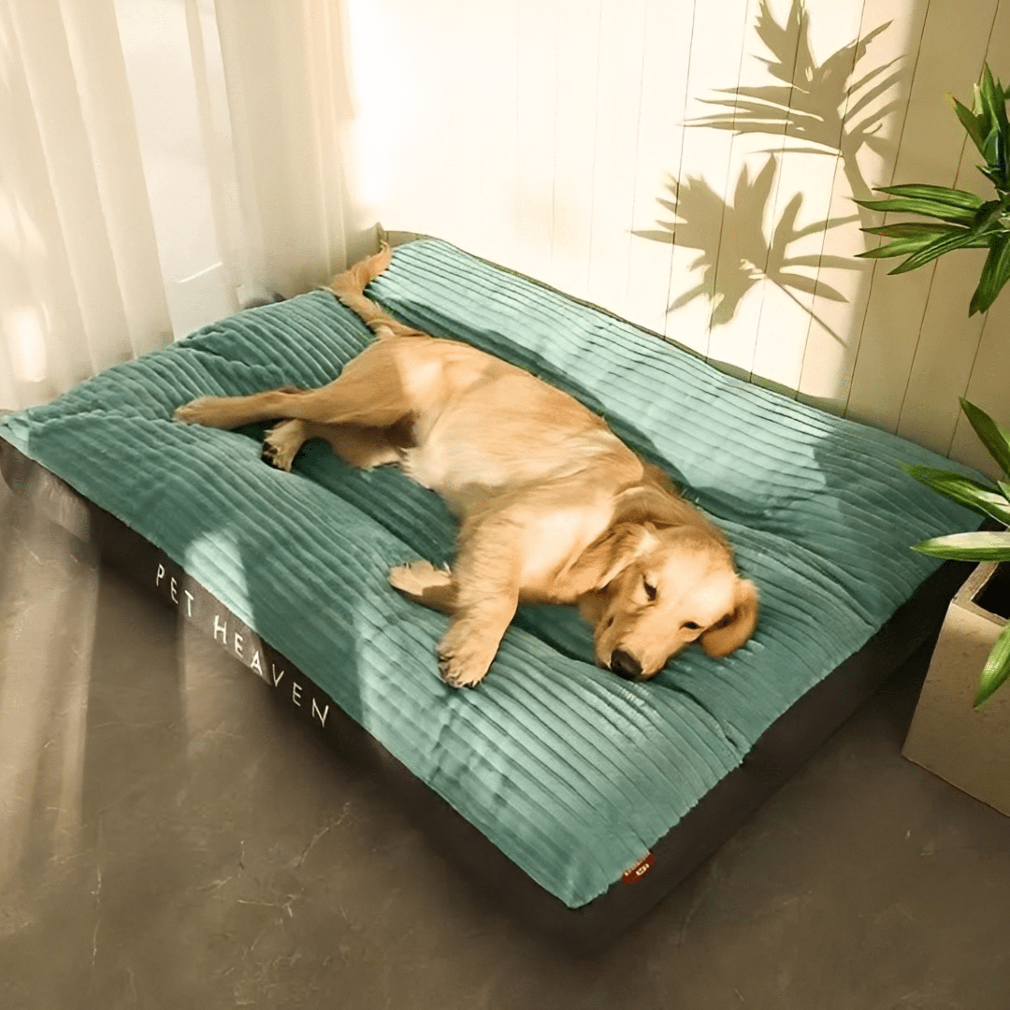 PawNest - Anti - Slip Pluche Hondenbed - Mivero