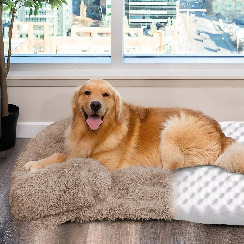 PawPillow - Vermindert Stress en Ondersteunt Spieren - Mivero