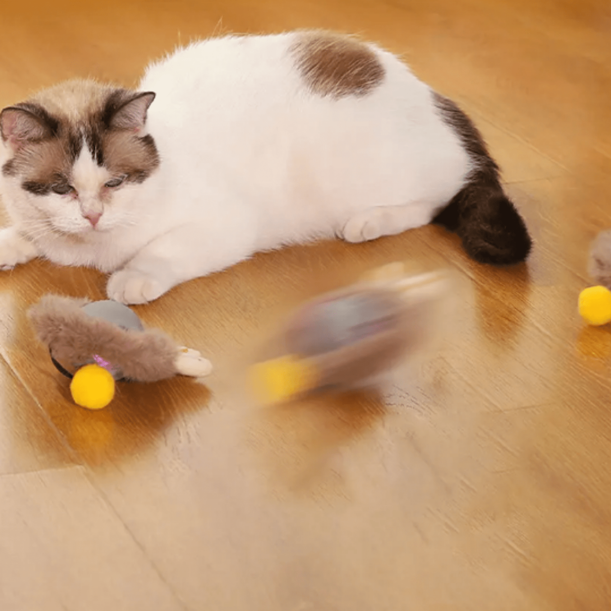 PawPlay - Interactieve Beweegbare Huisdierbal - Mivero