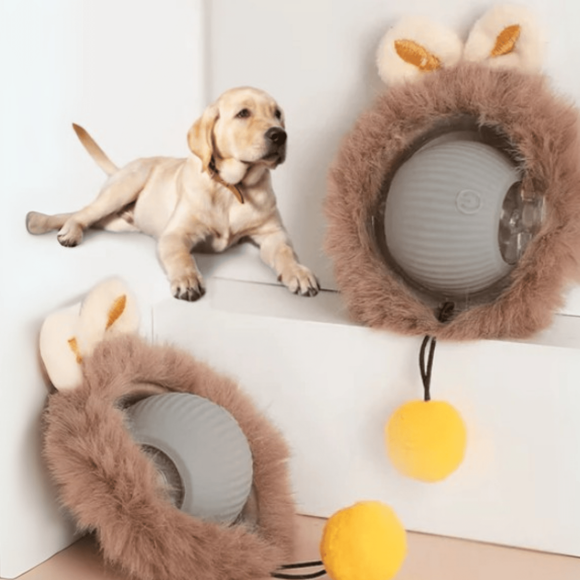 PawPlay - Interactieve Beweegbare Huisdierbal - Mivero