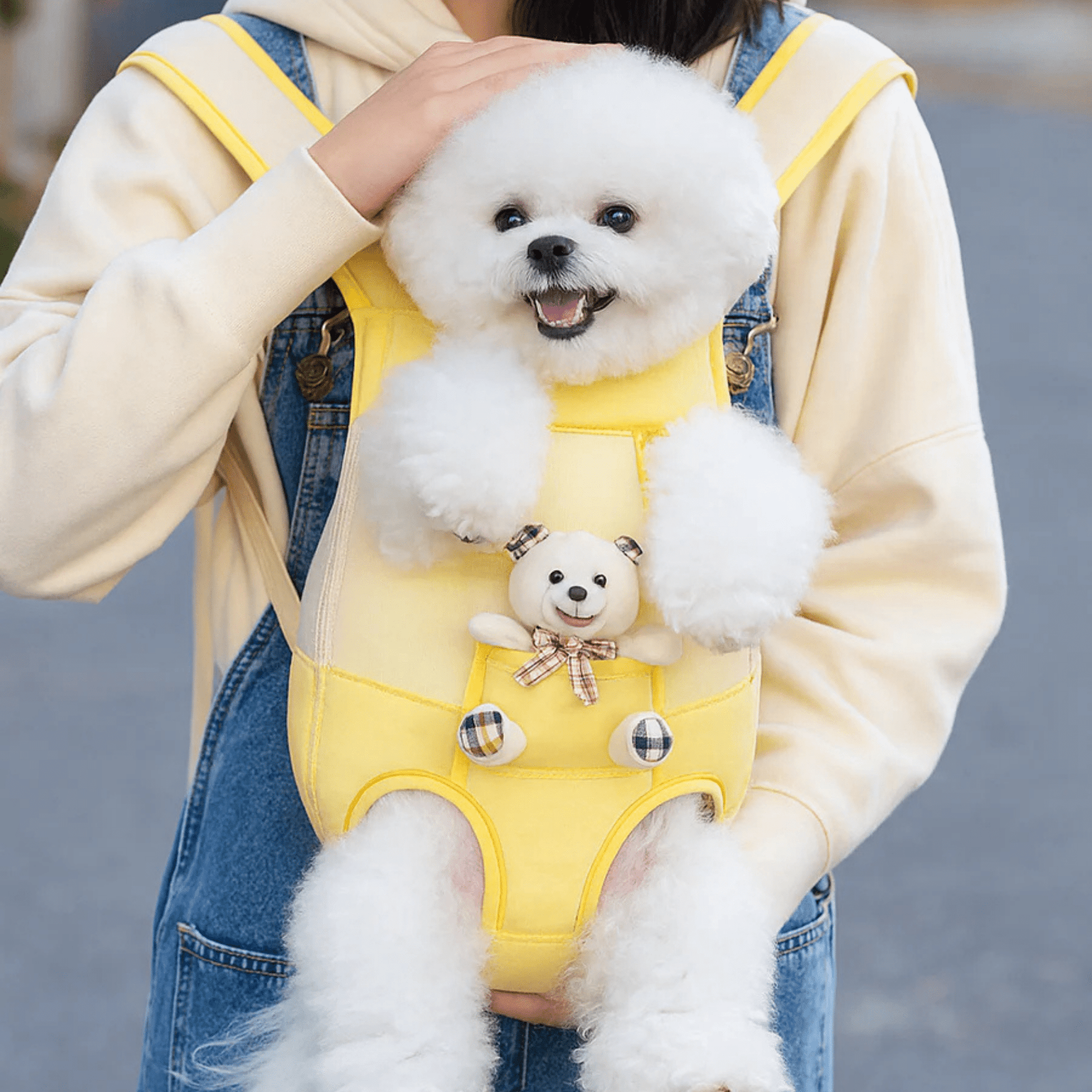 PawPorter - Draag je huisdier moeiteloos overal - Mivero