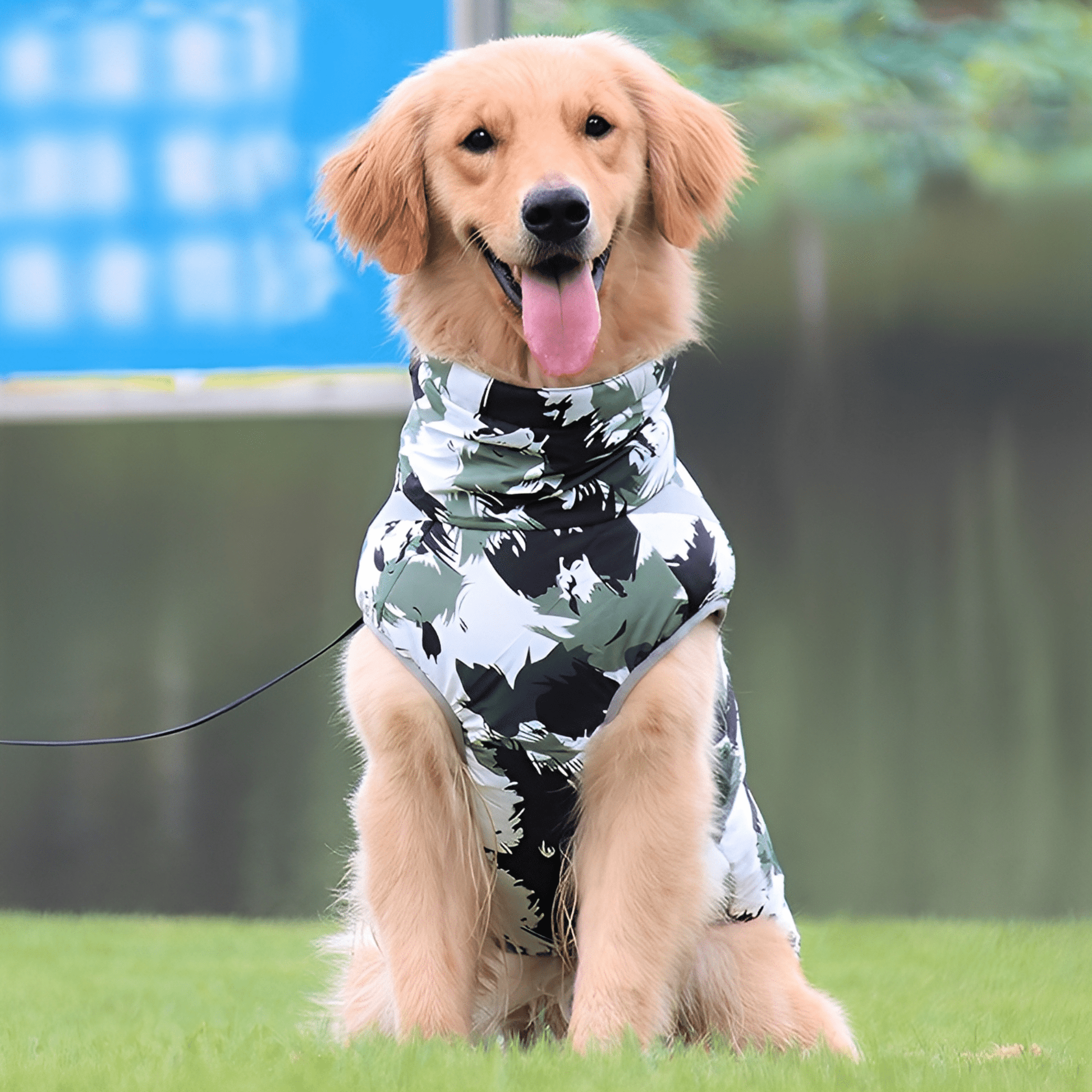 PawProof - Waterdichte Reflecterende Hondencoat - Mivero