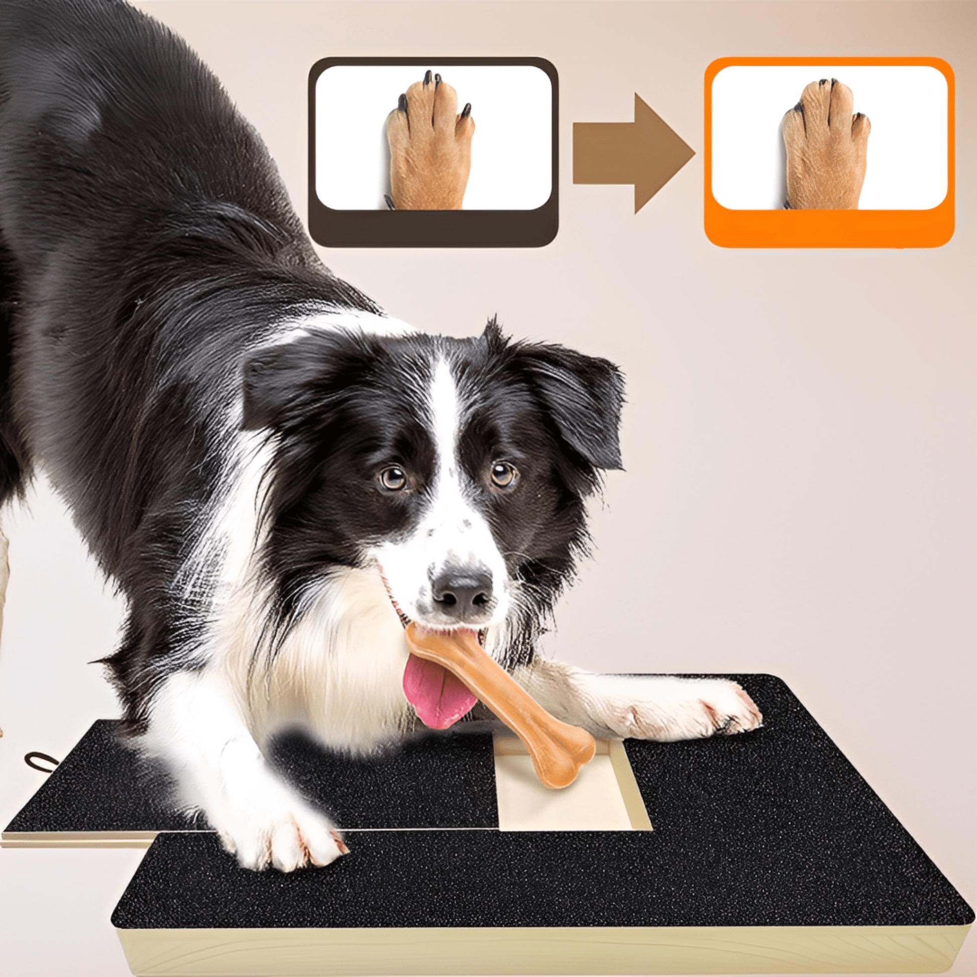 PawShaper - Maak van nagelknippen een spel! - Mivero