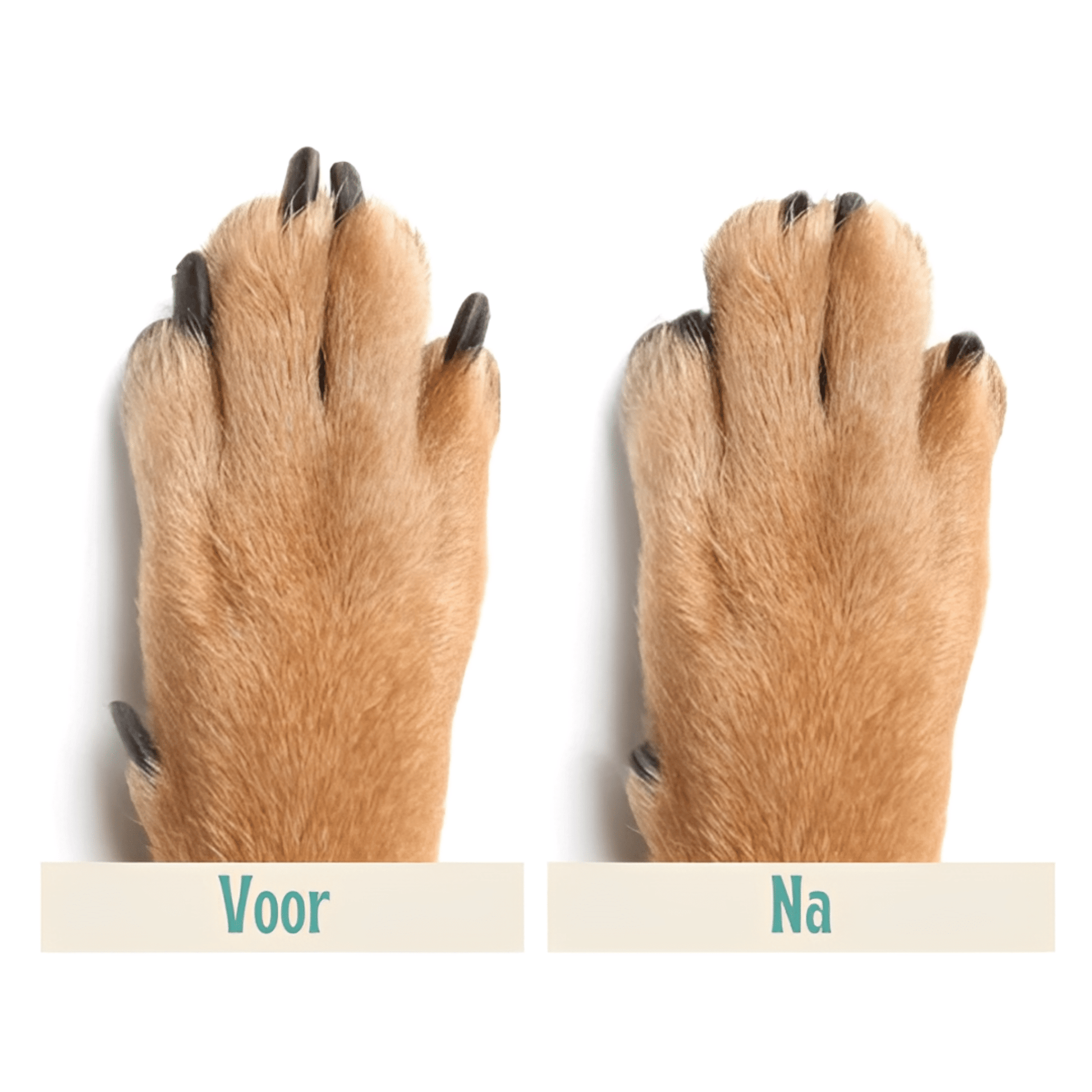 PawShaper - Maak van nagelknippen een spel! - Mivero