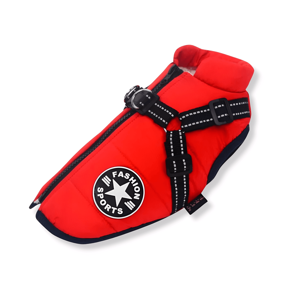 PawShield - Honden Winterjas Winterjas Voor Hond - Mivero