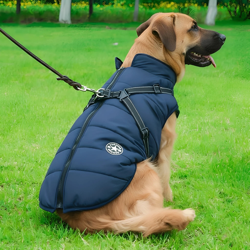 PawShield - Honden Winterjas Winterjas Voor Hond - Mivero