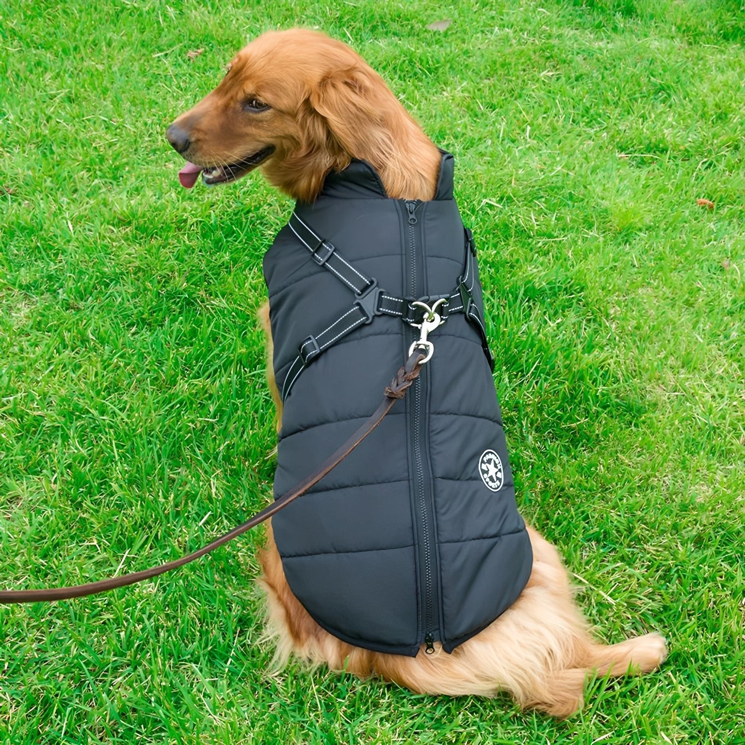 PawShield - Honden Winterjas Winterjas Voor Hond - Mivero