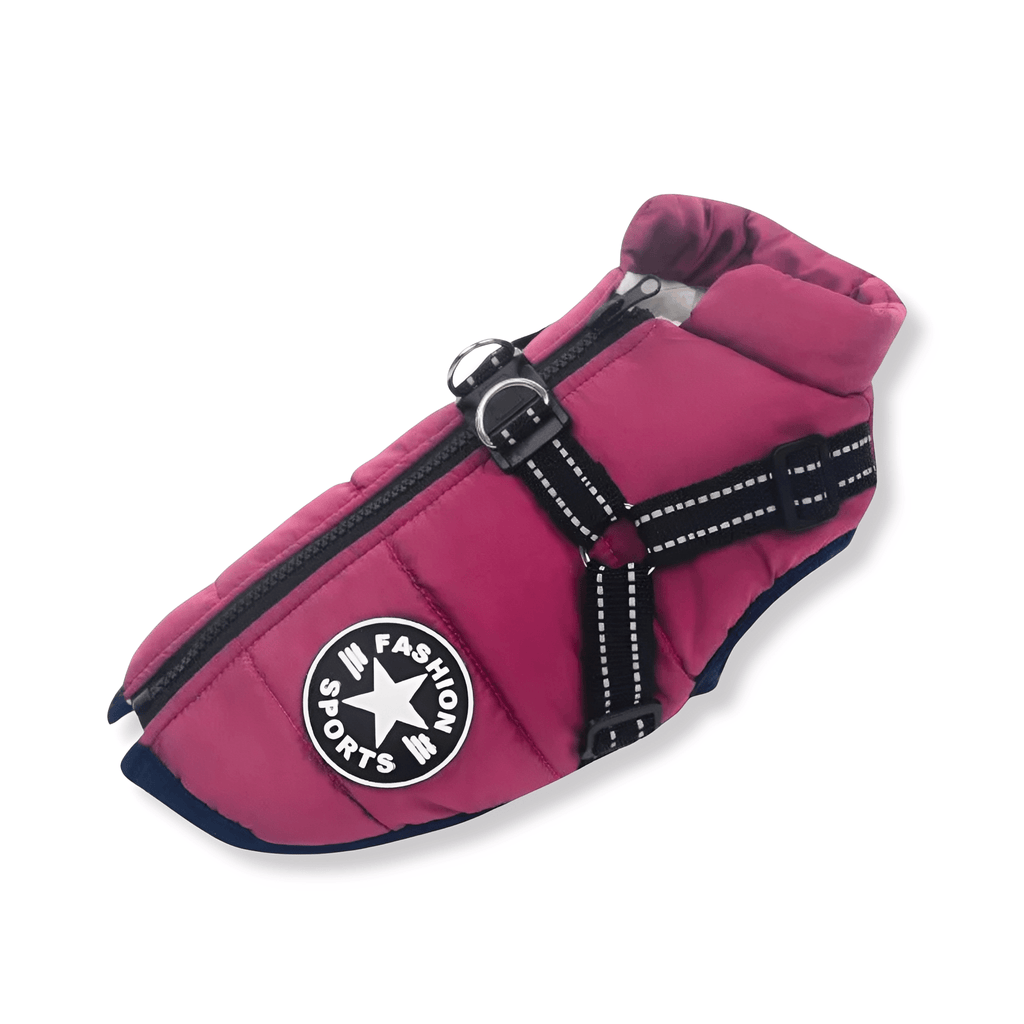 PawShield - Honden Winterjas Winterjas Voor Hond - Mivero