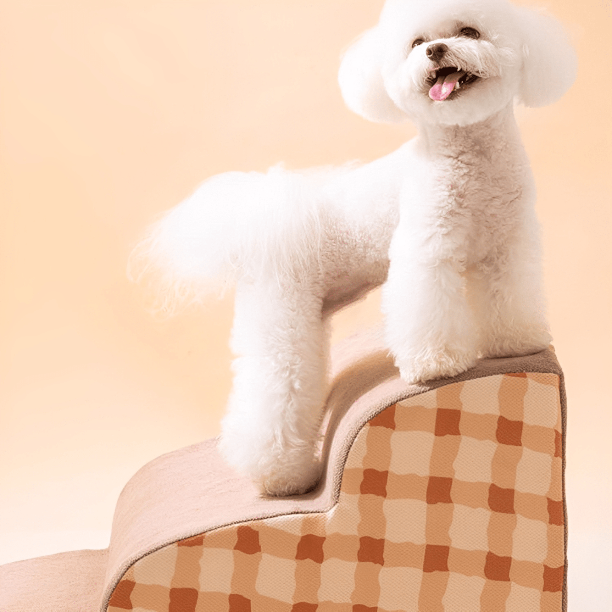 PawsUp - Zachte Antislip Huisdiertrap - Mivero