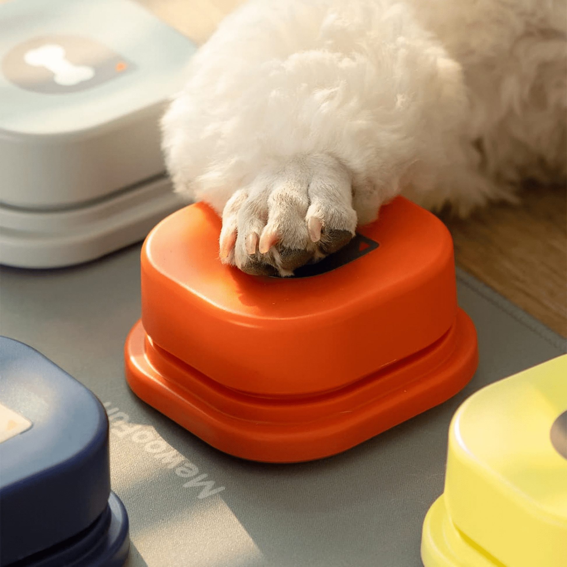 Pawtalk - Praatknoppen Honden Met Opnamefunctie - Mivero