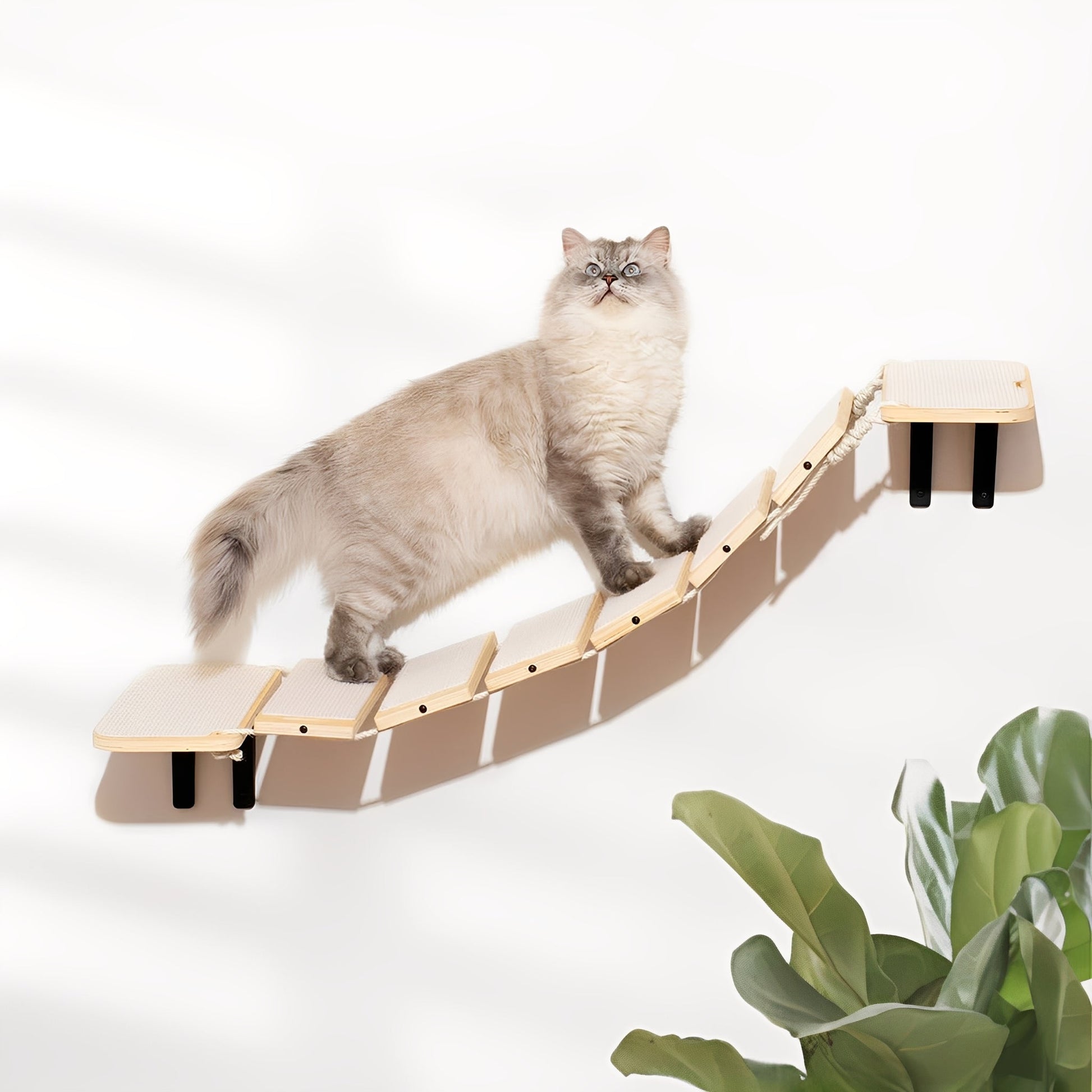 Pawthway - Wandbrug Katten Hout Verstelbaar - Mivero