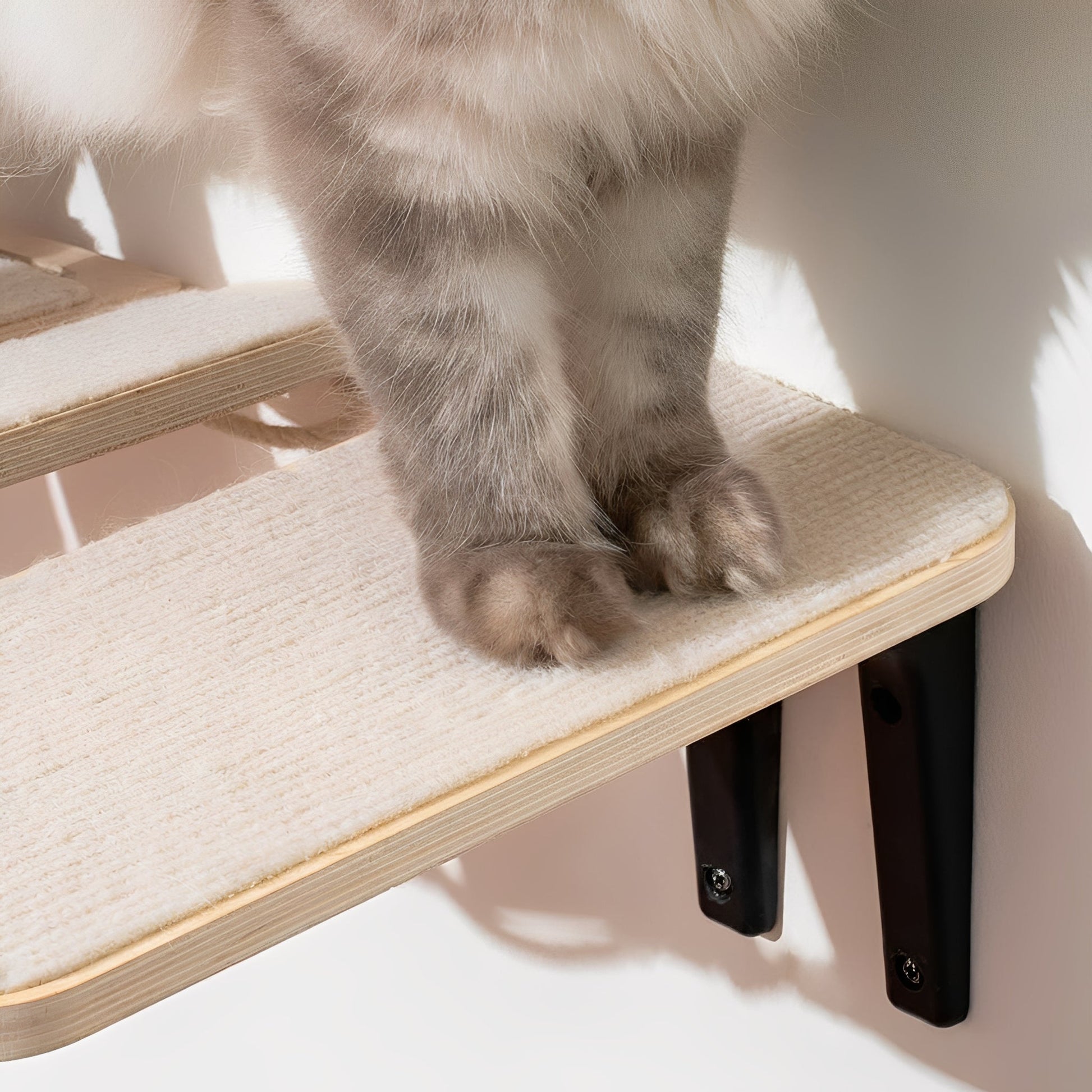 Pawthway - Wandbrug Katten Hout Verstelbaar - Mivero