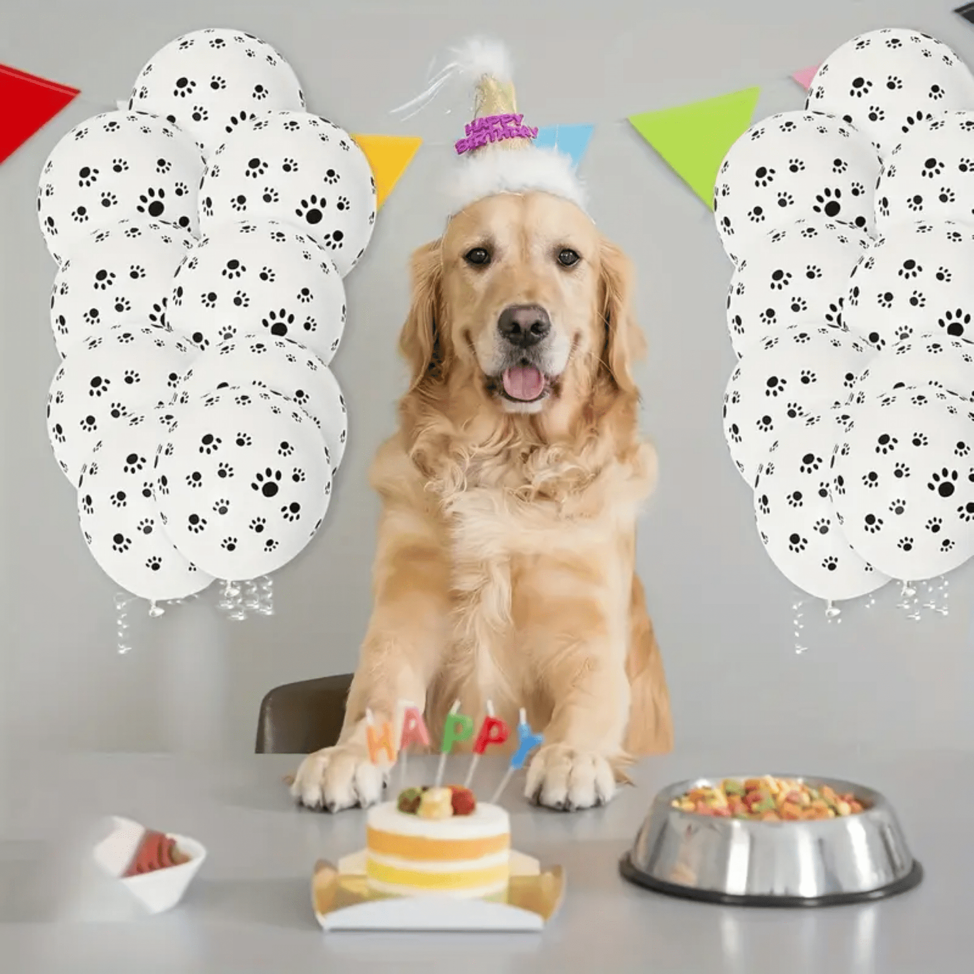 Pawty - Hondenpoot Feestballonnen - Mivero