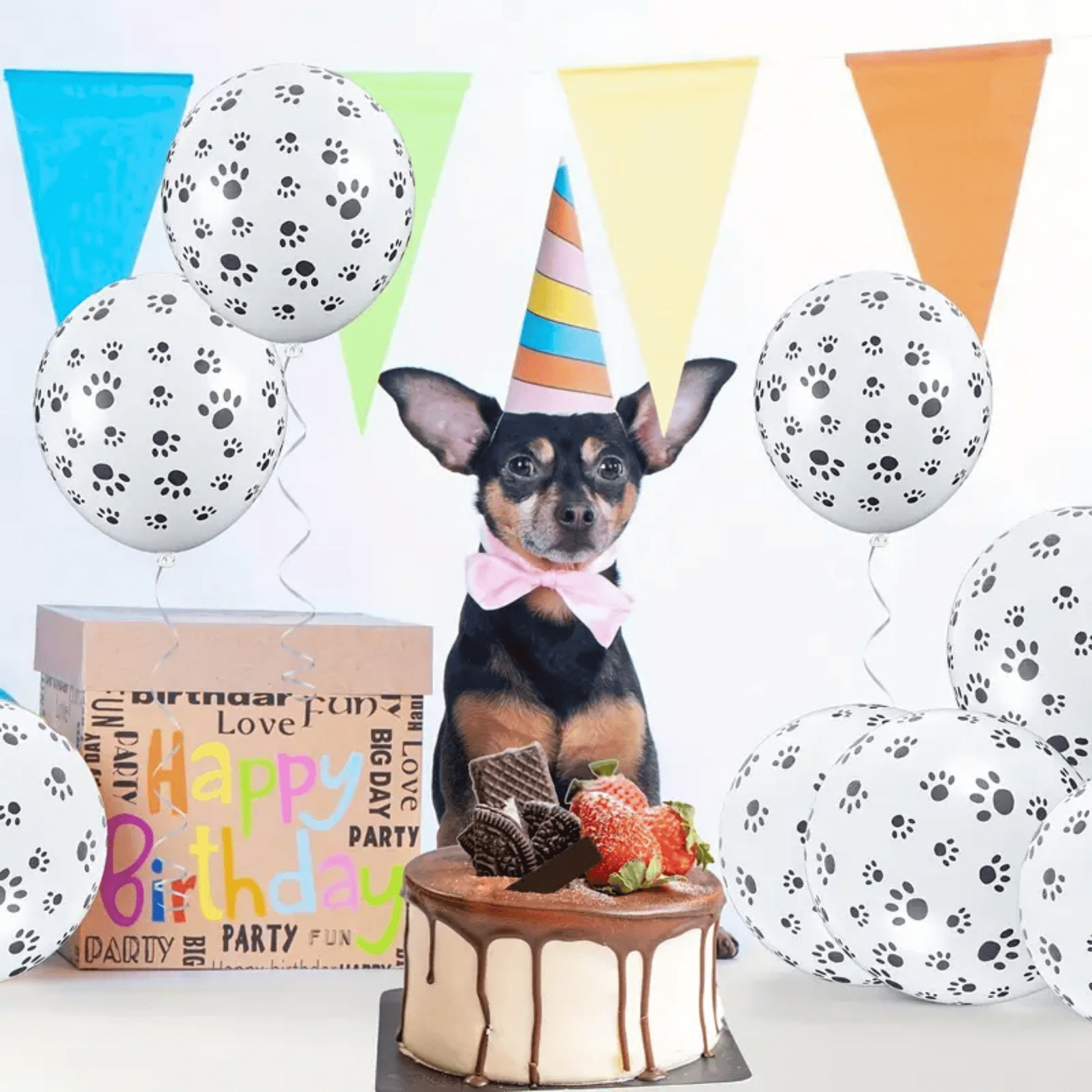 Pawty - Hondenpoot Feestballonnen - Mivero