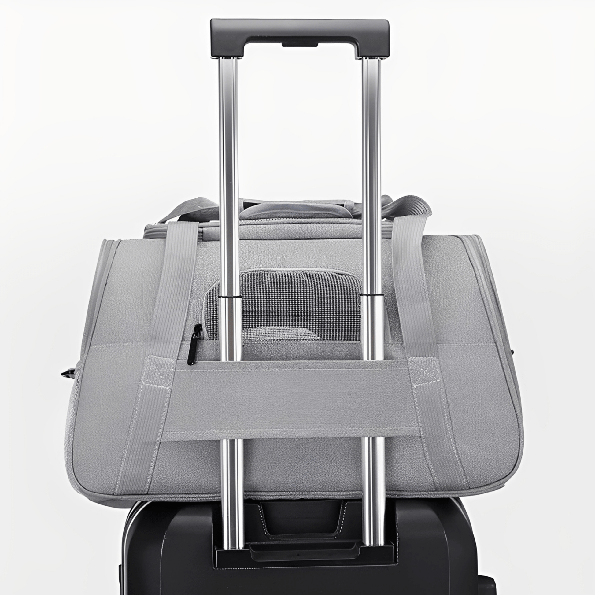 PawVoyage - Comfortabele Reis Hondentas - Mivero