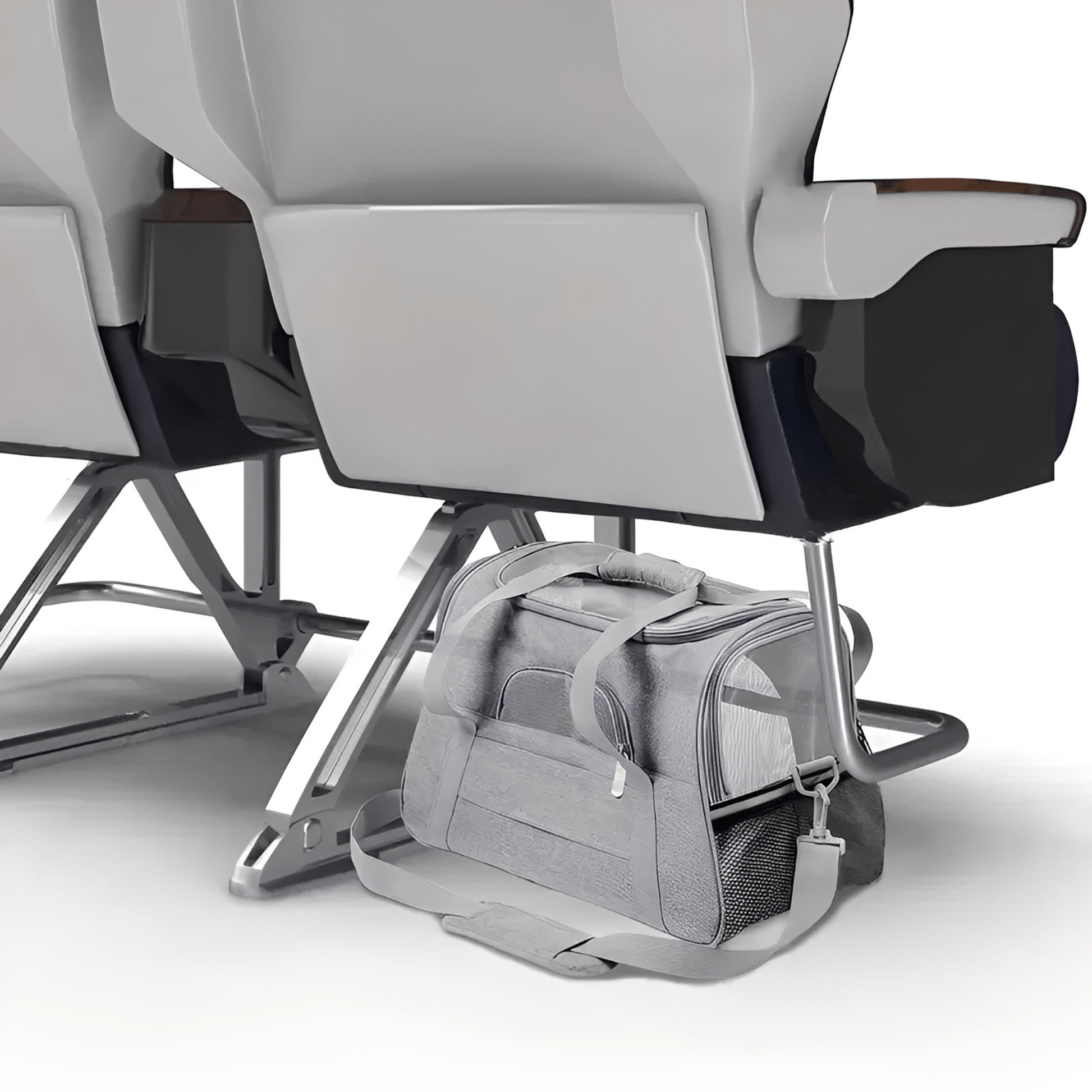 PawVoyage - Comfortabele Reis Hondentas - Mivero