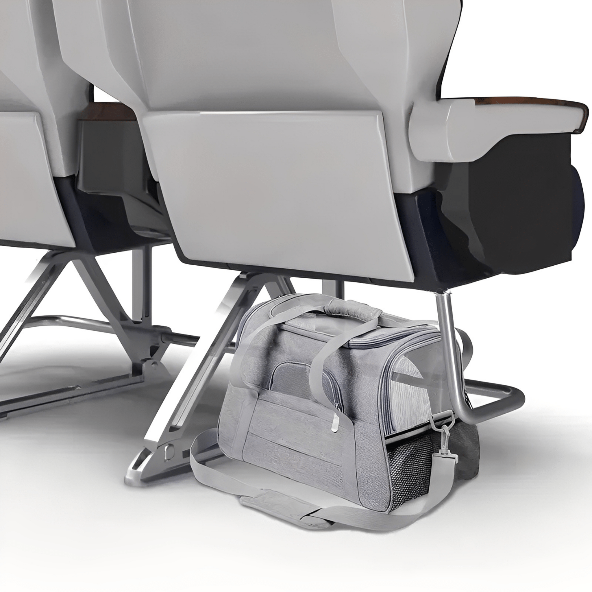 PawVoyage - Comfortabele Reis Hondentas - Mivero