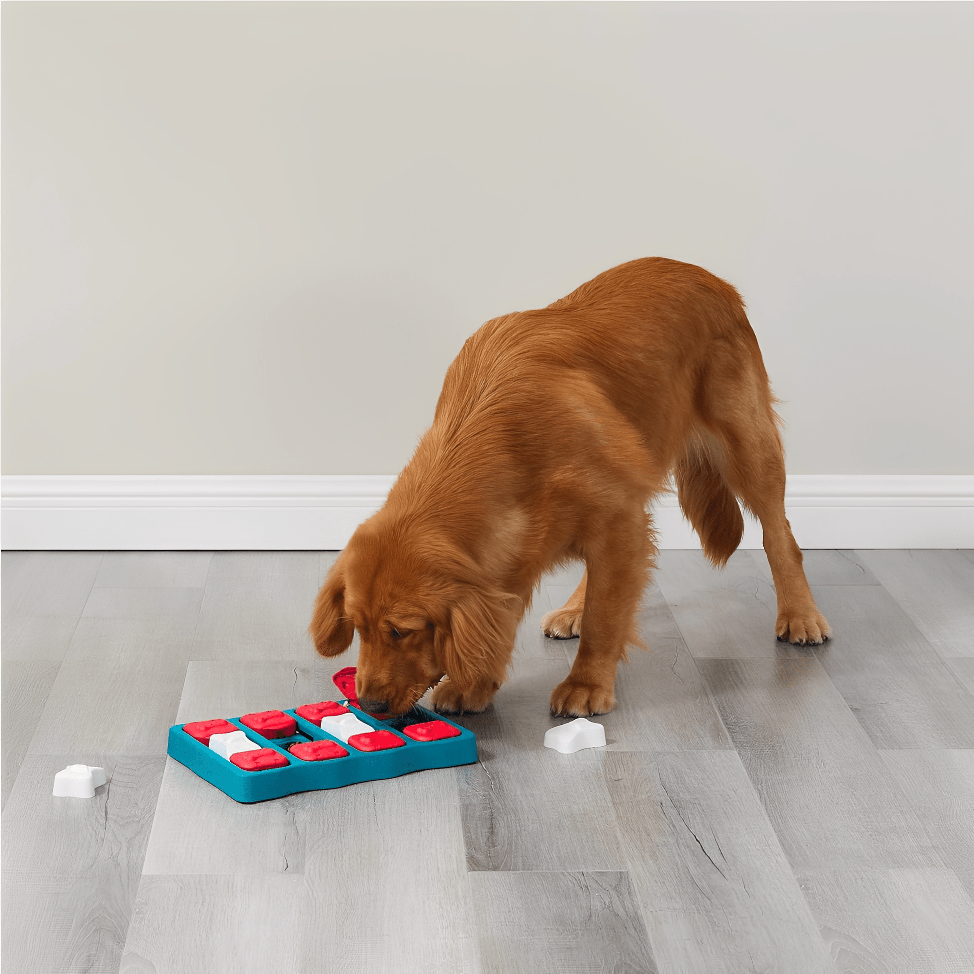 PawzzlePup - Interactieve Traktatiepuzzel Hond - Mivero