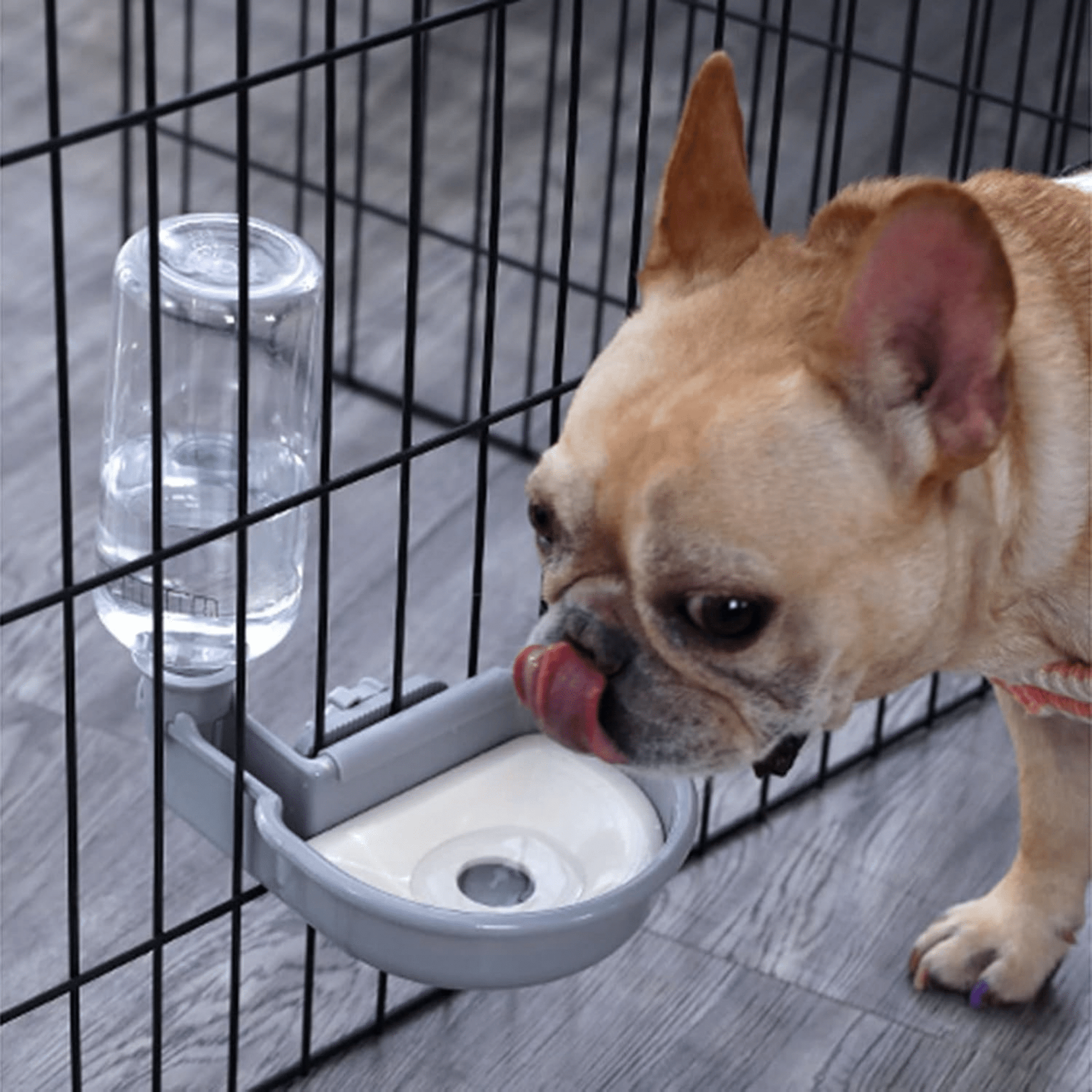 PetFlow - Automatische Voerbak Huisdieren - Mivero