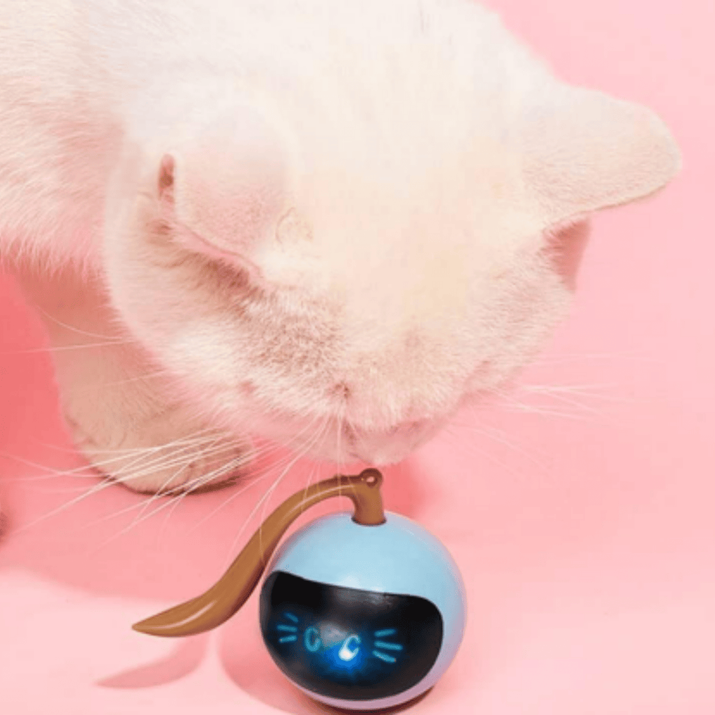 Playzo - Interactieve Jachtbal Kat - Mivero