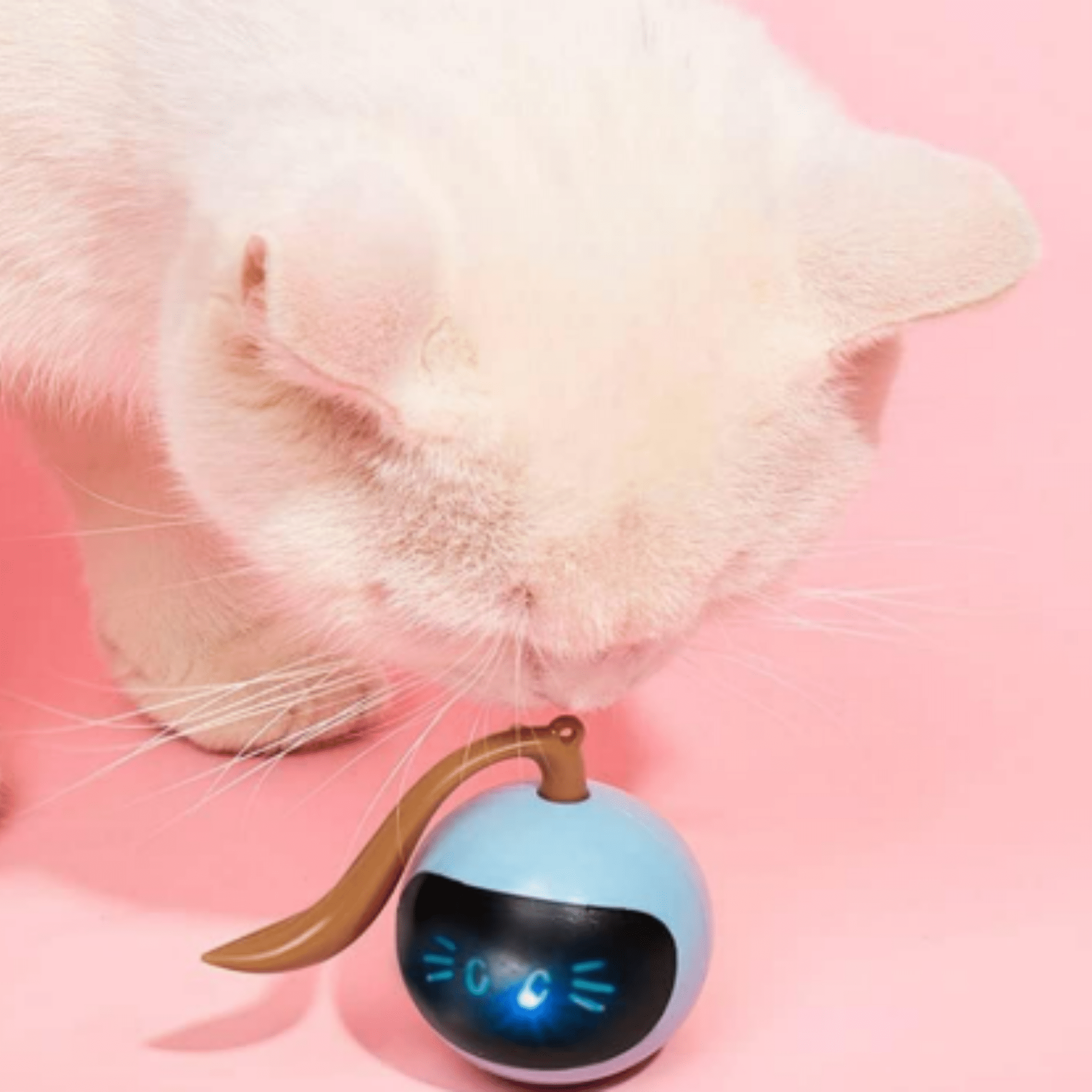 Playzo - Interactieve Jachtbal Kat - Mivero