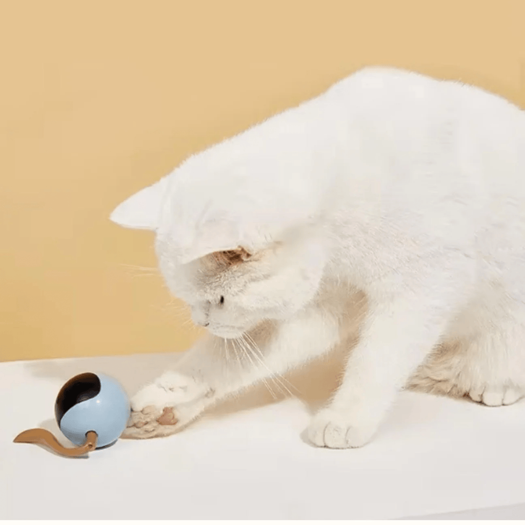 Playzo - Interactieve Jachtbal Kat - Mivero