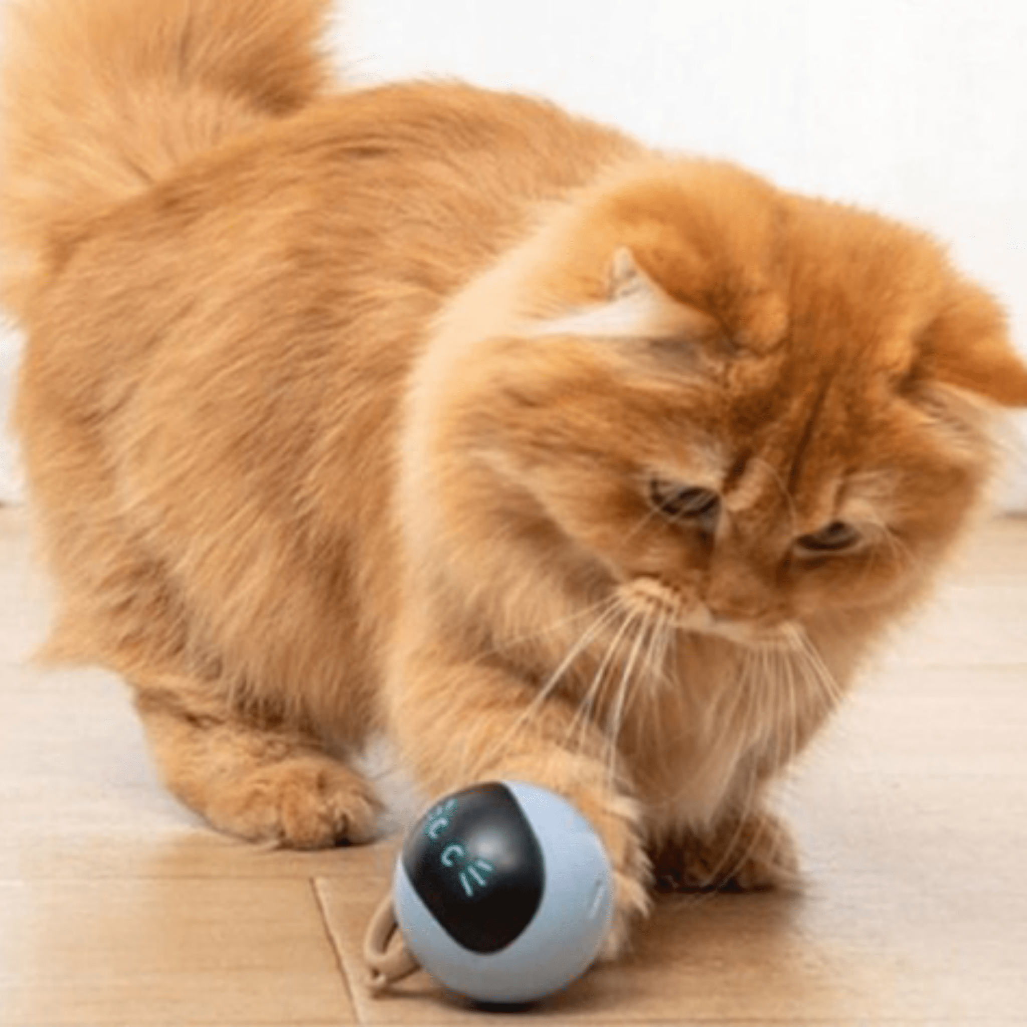 Playzo - Interactieve Jachtbal Kat - Mivero