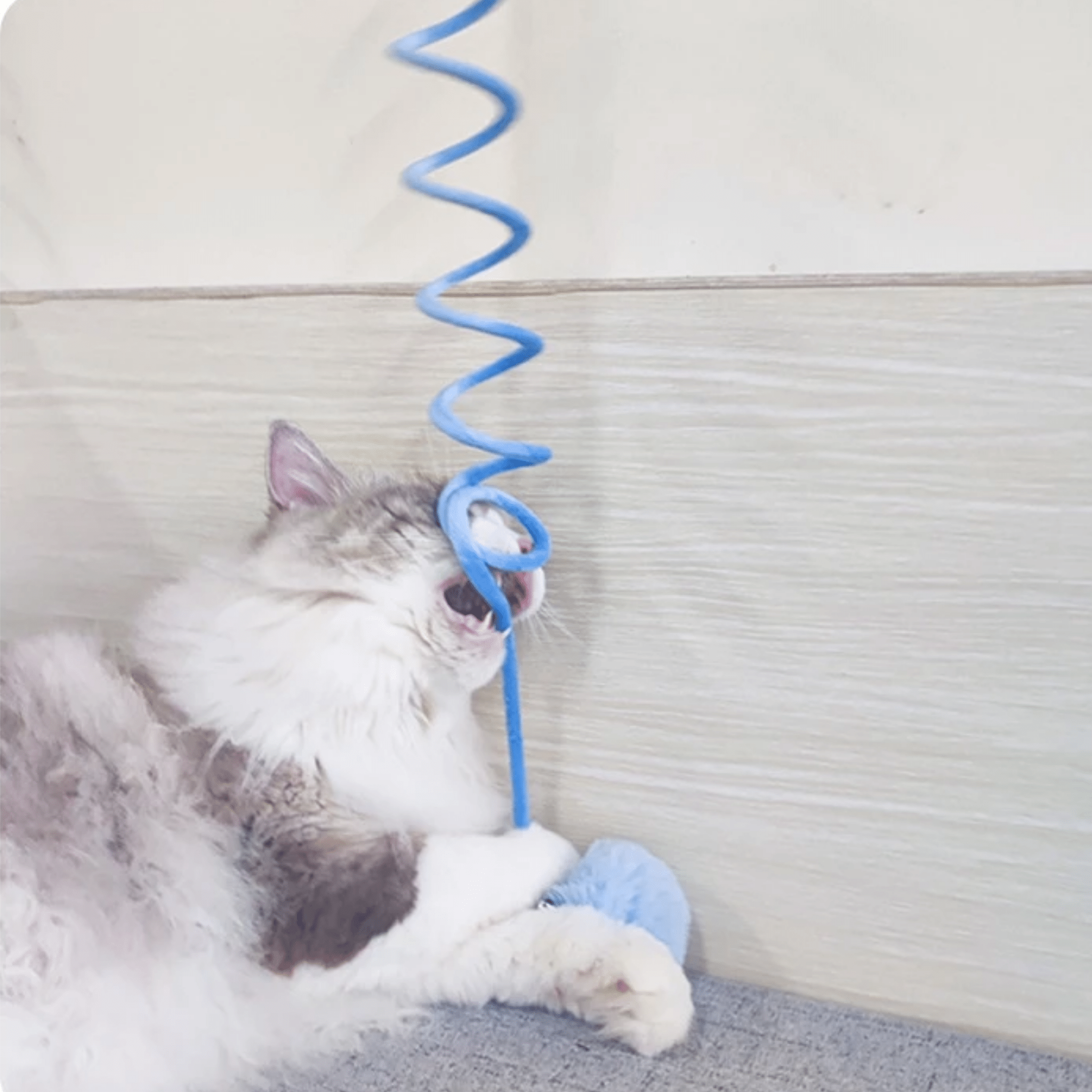 Pompounce - Interactief Zelfstandig Kattenkoord - Mivero