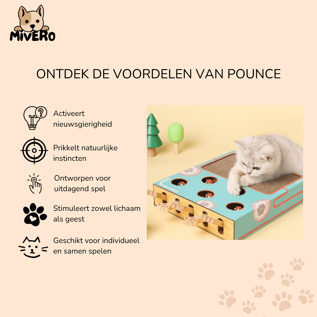 Pounce - Katten Speelgoed 3 - in - 1 Krabmat - Mivero