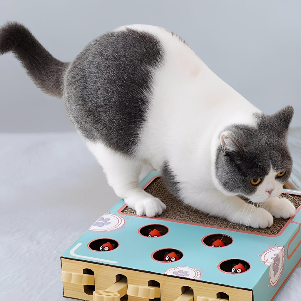 Pounce - Katten Speelgoed 3 - in - 1 Krabmat - Mivero