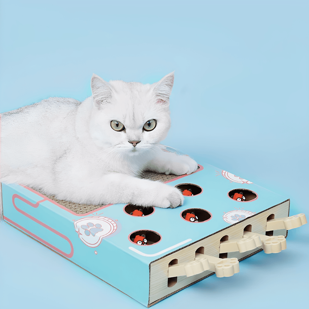 Pounce - Katten Speelgoed 3 - in - 1 Krabmat - Mivero