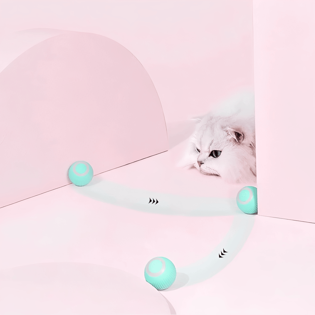 Pounceo - Kattenspeelbal Automatisch Oplaadbaar Interactief - Mivero