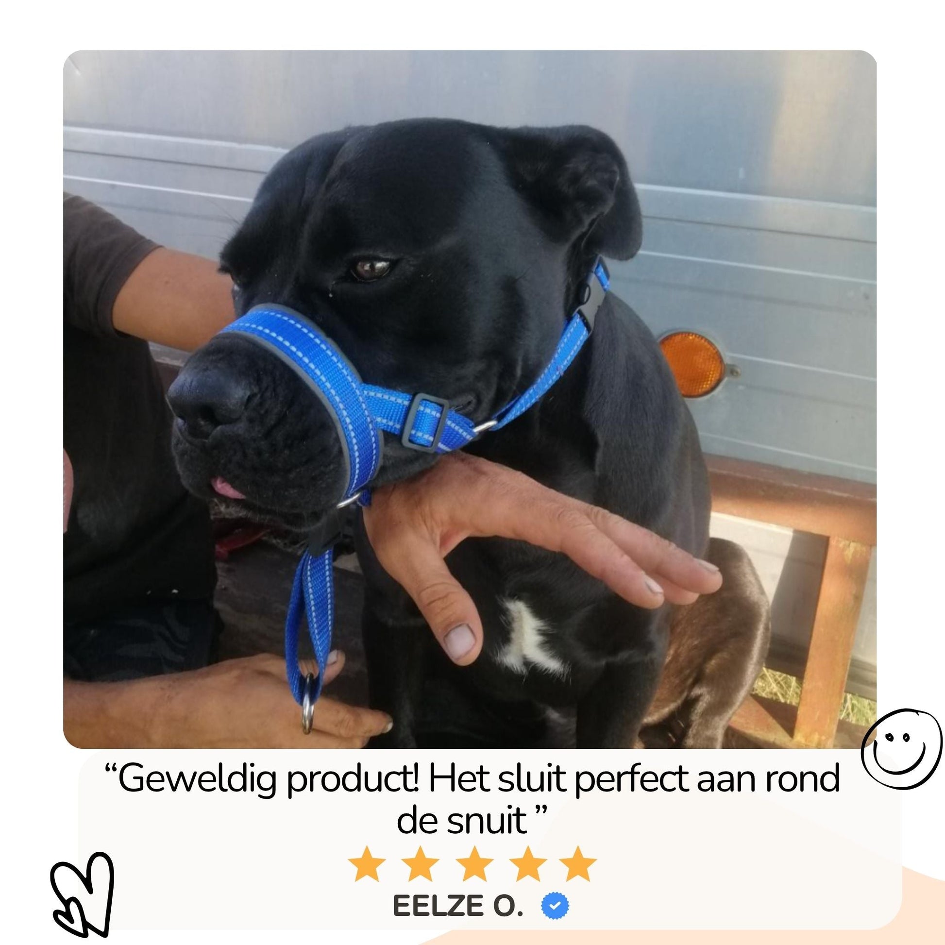 Vind zoofari honden in Honden-accessoires op Vind zoofari honden in Honden-accessoires op
