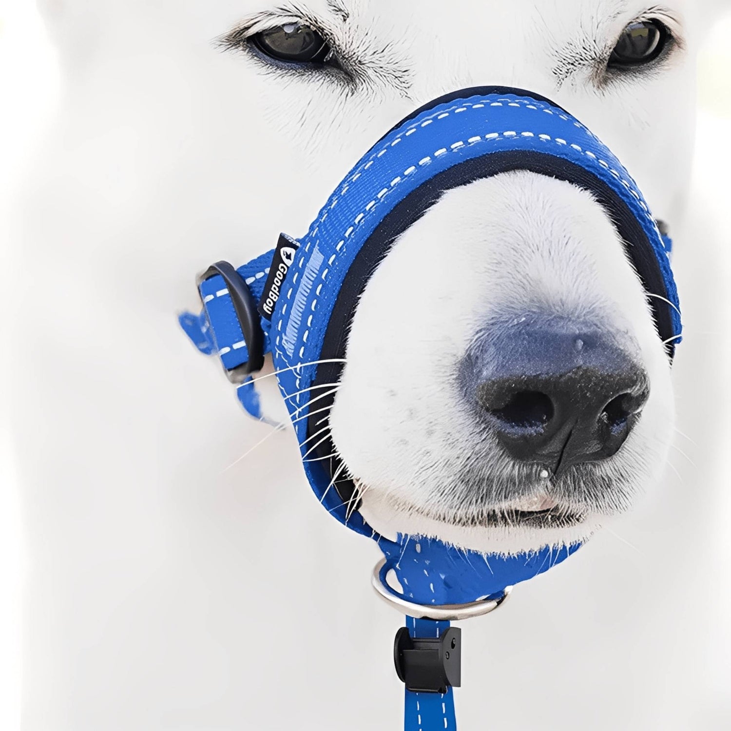 PullEase - Padded Anti - Trek Hoofdharnas - Mivero