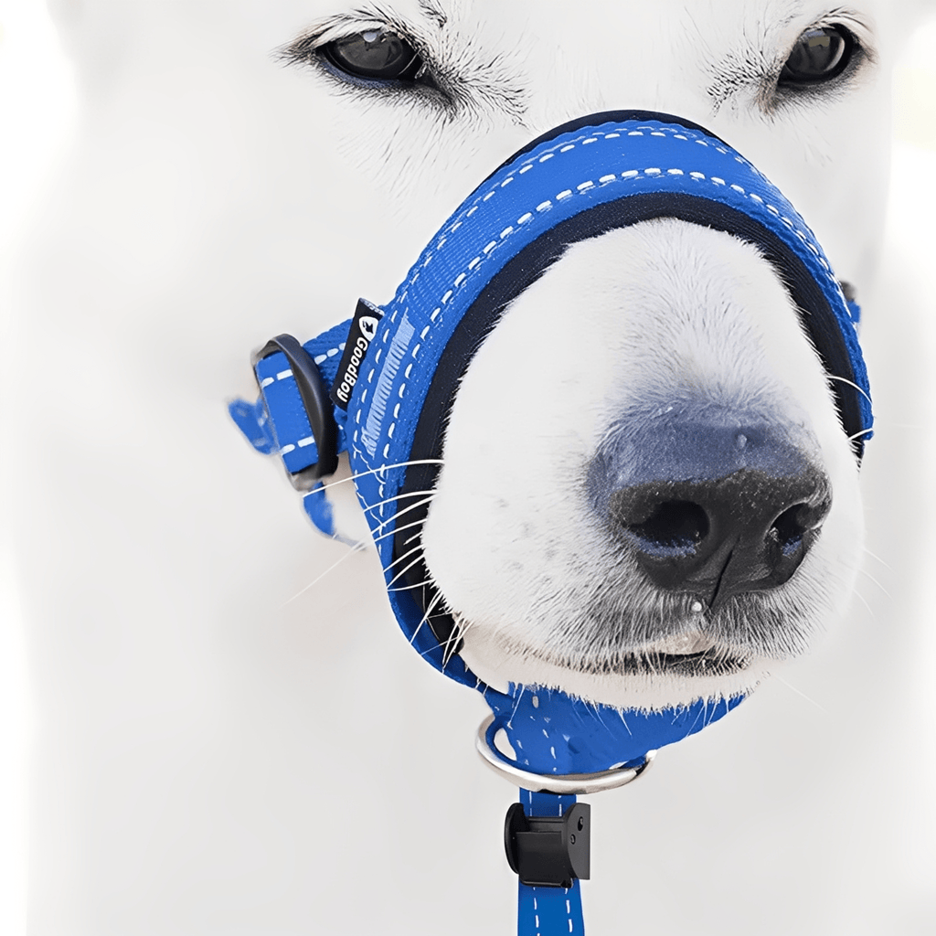 PullEase - Padded Anti - Trek Hoofdharnas - Mivero