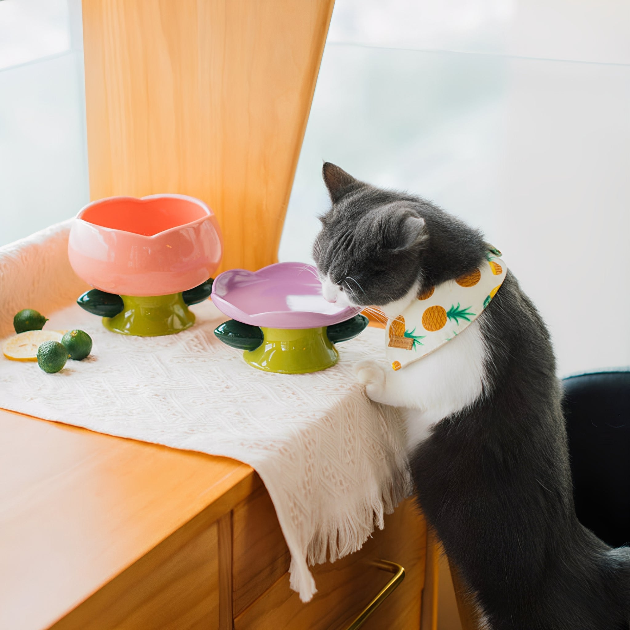 PurrBloom - Katten Voerbak Keramiek Verhoogd - Mivero