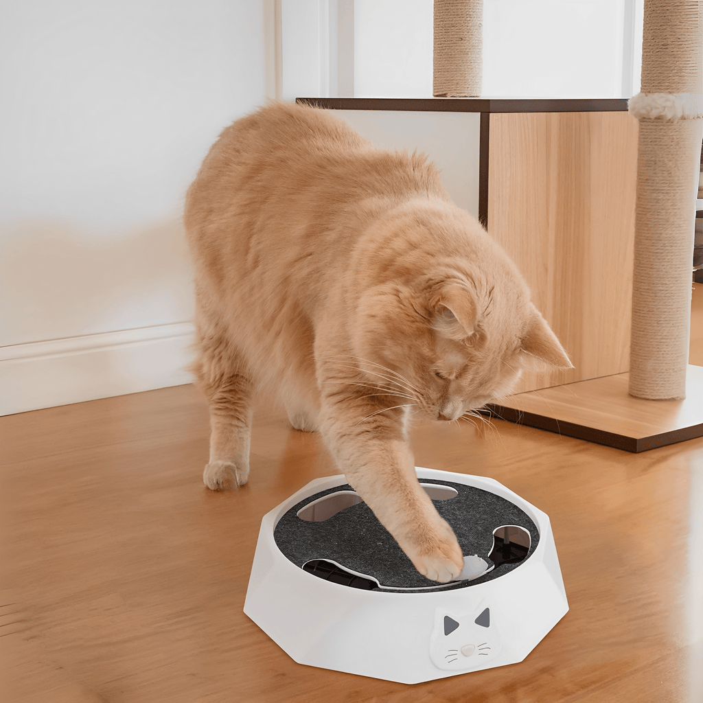 PurrChase - Kattenspeelgoed Interactieve Muis Krabmat - Mivero