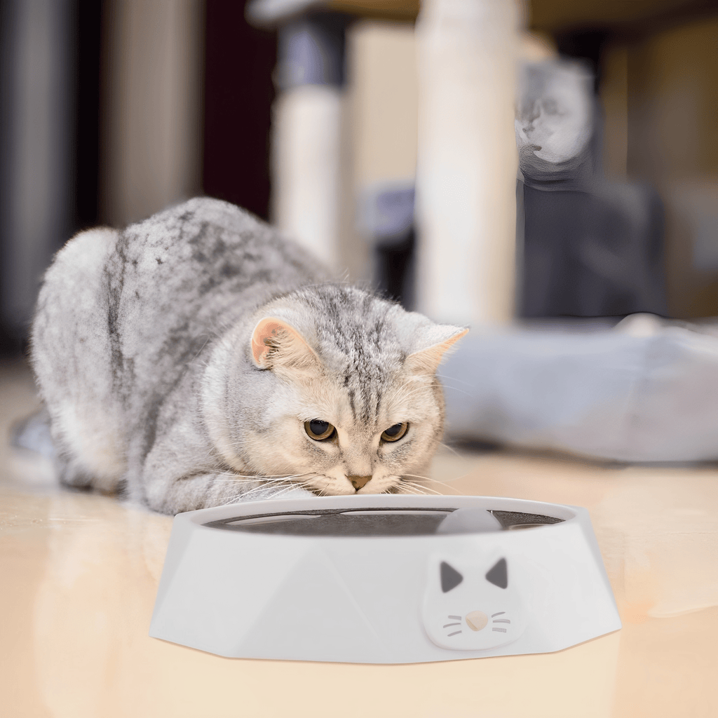 PurrChase - Kattenspeelgoed Interactieve Muis Krabmat - Mivero