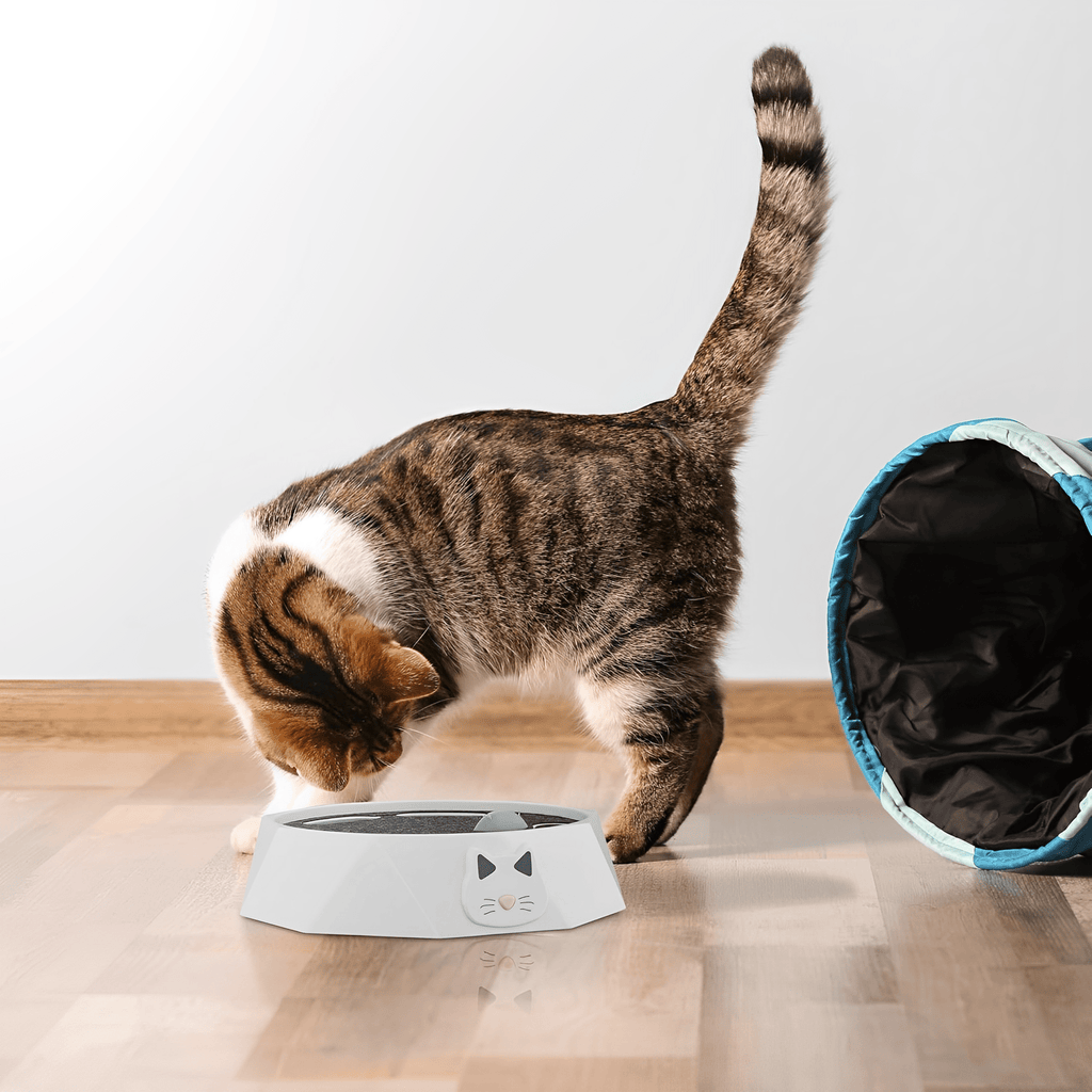 PurrChase - Kattenspeelgoed Interactieve Muis Krabmat - Mivero