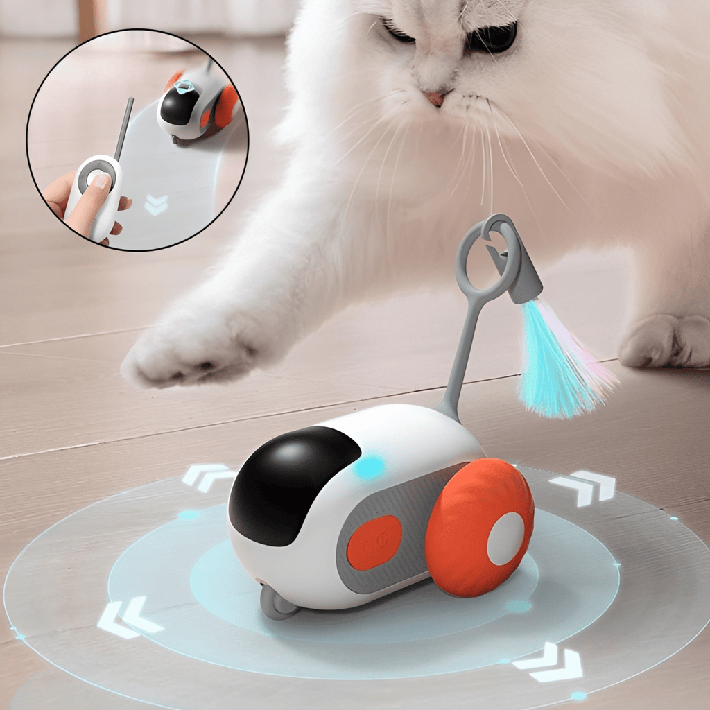 PurrDrive - Interactieve Obstakelvrije Kattenauto - Mivero