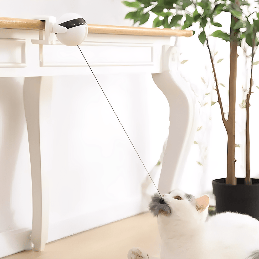 Purrlift - Katten Speelgoed Interactief Op Batterijen - Mivero