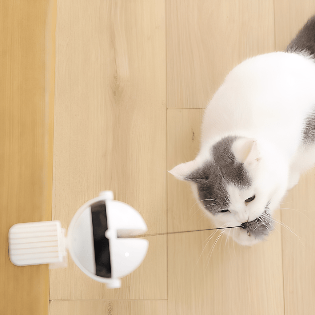 Purrlift - Katten Speelgoed Interactief Op Batterijen - Mivero